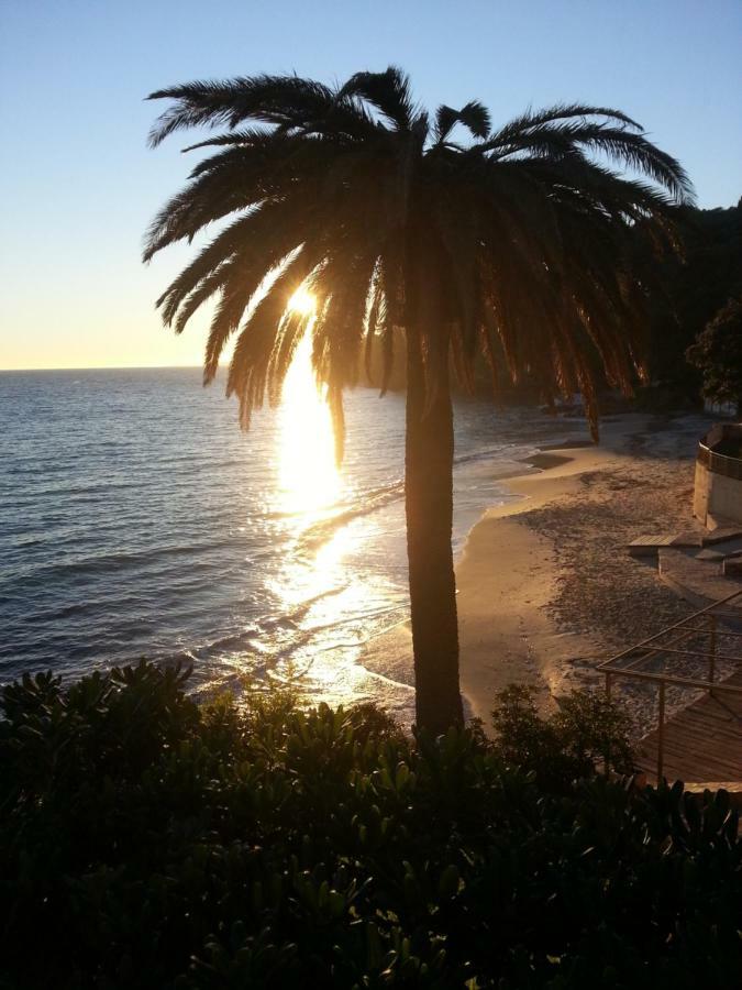 Villa Adriandre Le Le Rayol-Canadel-sur-Mer Εξωτερικό φωτογραφία