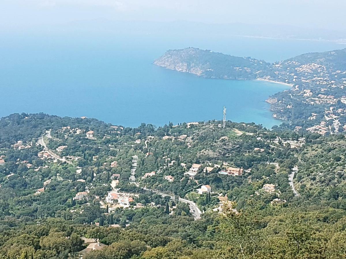 Villa Adriandre Le Le Rayol-Canadel-sur-Mer Εξωτερικό φωτογραφία